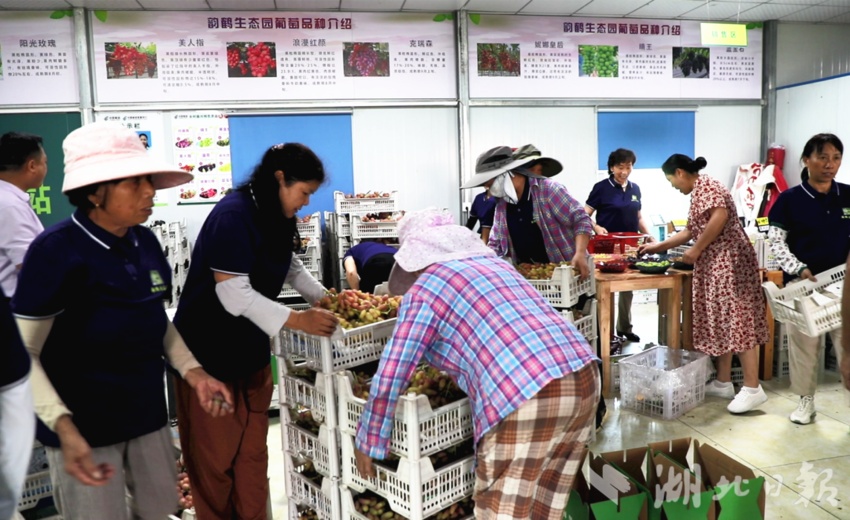 广东麻将推倒胡下载免费